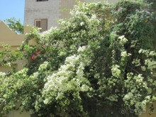 cheer up! Отель 3*!