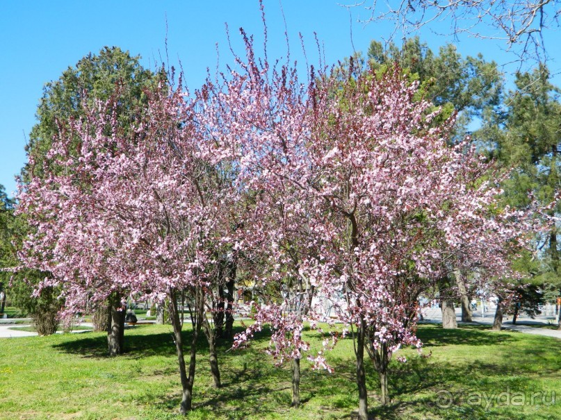 Для отдыха вдвоём - просто замечательный!