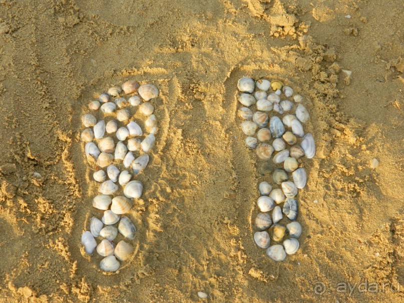 Недорогой отдых