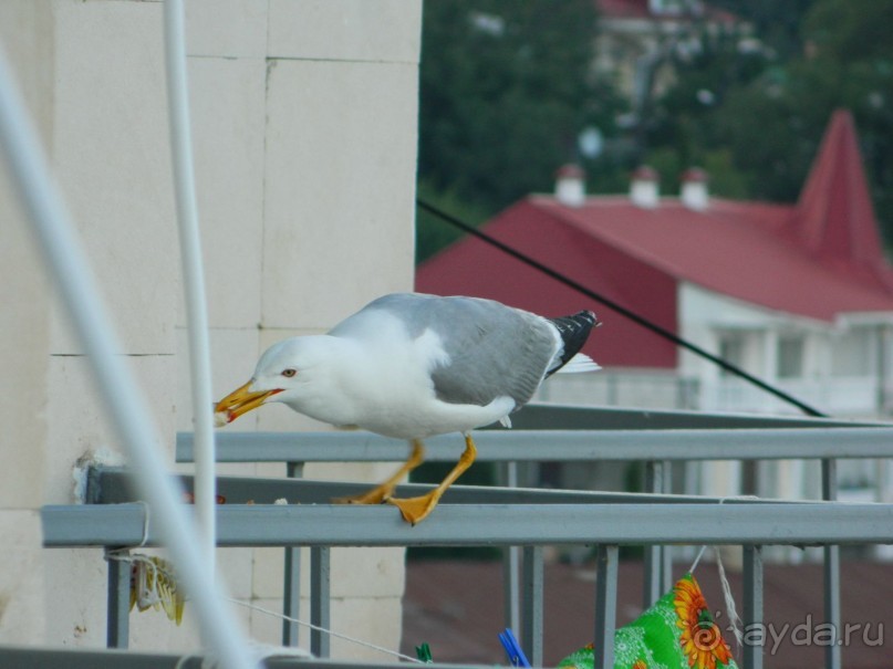 Неожиданно комфортно для санатория советских времён