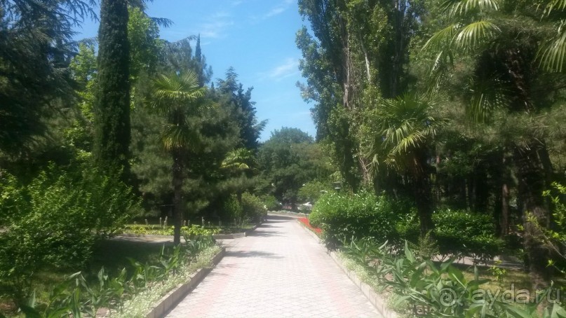 фото Черноморье