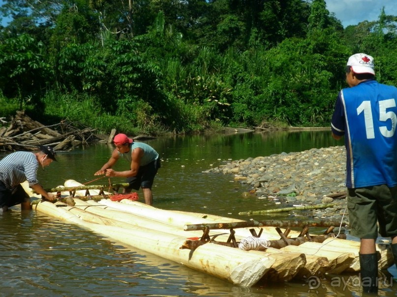 Альбом отзыва "Джунгли Эквадора"