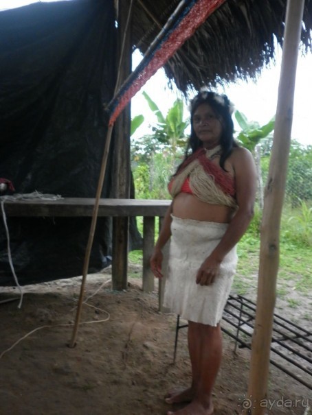 Альбом отзыва "Джунгли Эквадора"