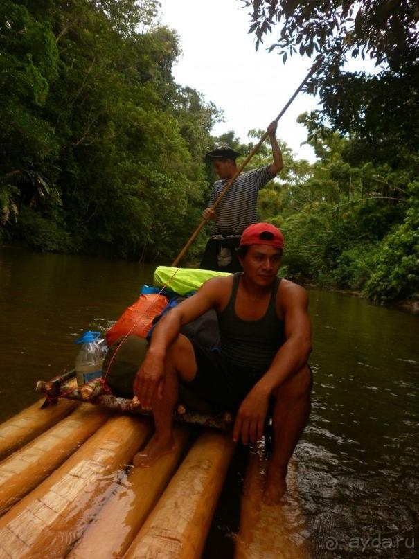 Альбом отзыва "Джунгли Эквадора"