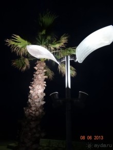 фото Akti Palace