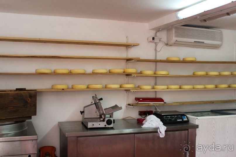 фото Виллы Олива