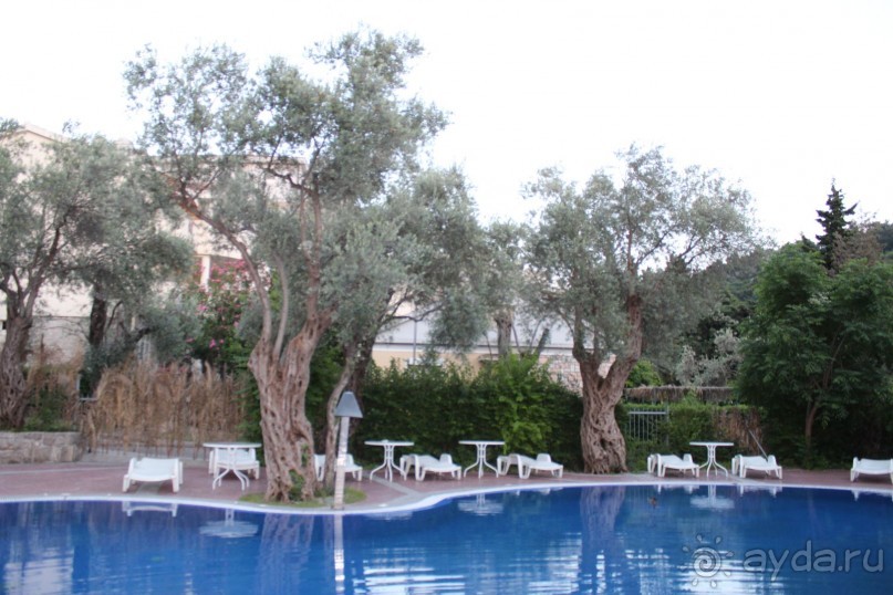 Отпуск на Вилле Олива с маленькими детьми