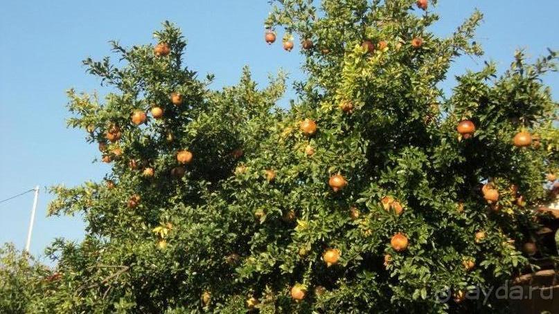 Отдых с детьми