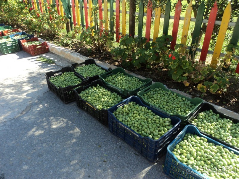 Отдых с детьми