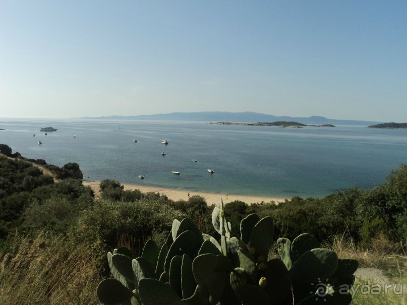 Отдых с детьми