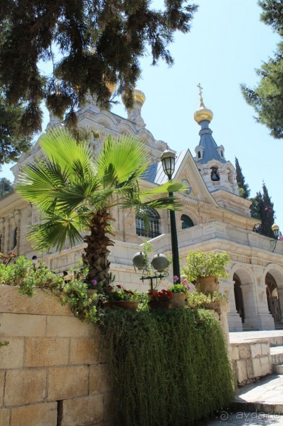 По Израилю на автомобиле