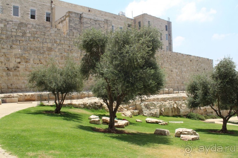 По Израилю на автомобиле