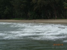 фото Klong Prao Resort