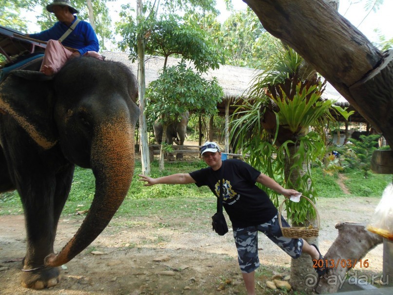 фото Klong Prao Resort