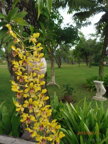 фото Klong Prao Resort