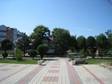 фото Звёздочка