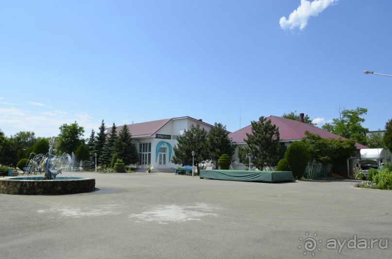 фото Звёздочка