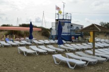 фото Звёздочка