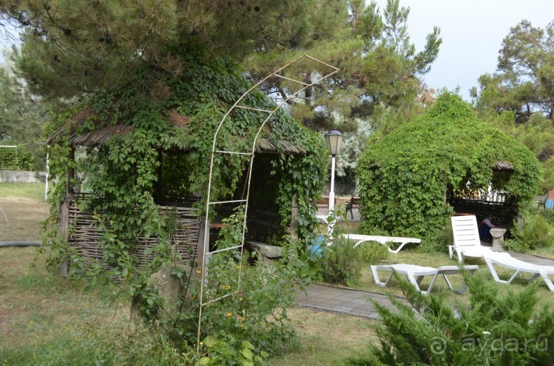 Хороший пансионат за свои деньги.