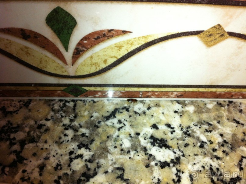 В отеле тараканы!