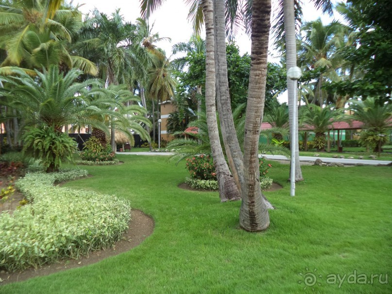 Отличный отель с идеальной чистотой