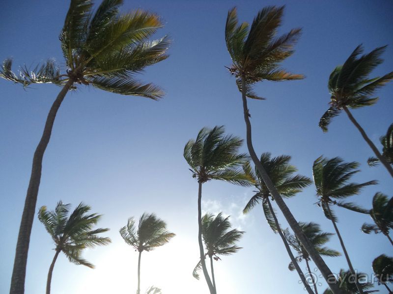 Отличный отель с идеальной чистотой