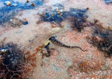 Удачный отдых.