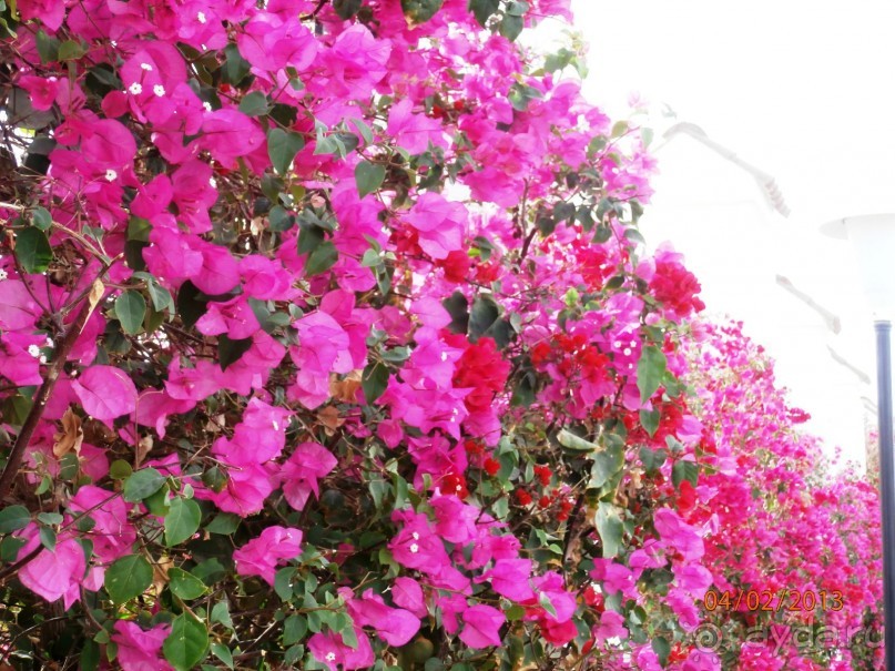 Удачный отдых.