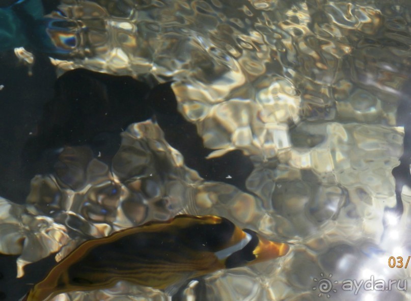 Удачный отдых.