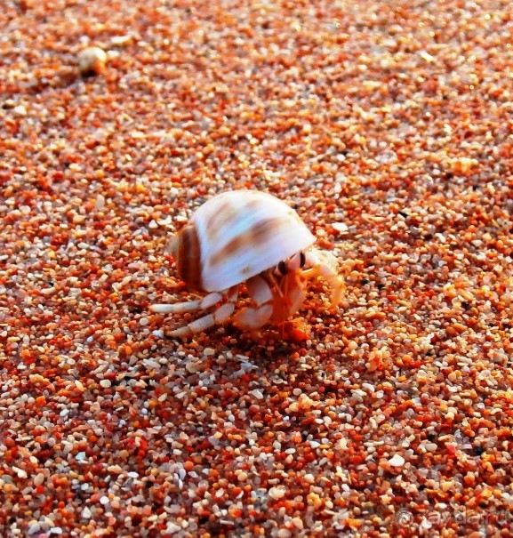 Удачный отдых.