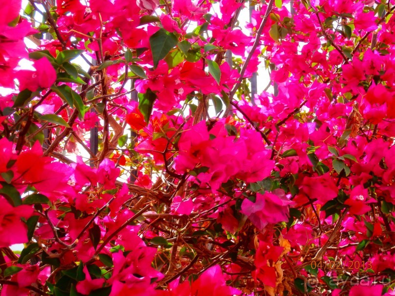 Удачный отдых.