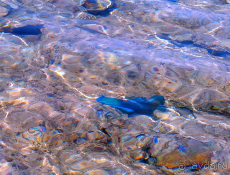 Удачный отдых.