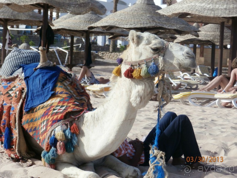 Удачный отдых.