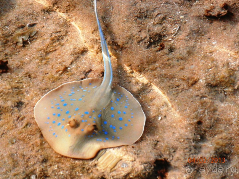 Удачный отдых.