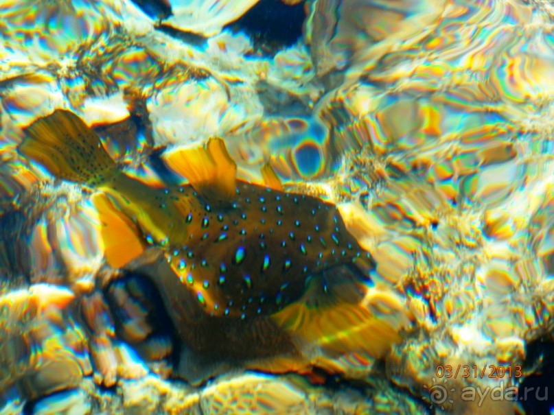 Удачный отдых.