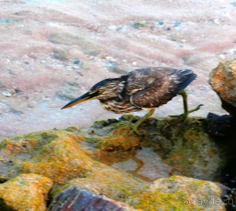 Удачный отдых.