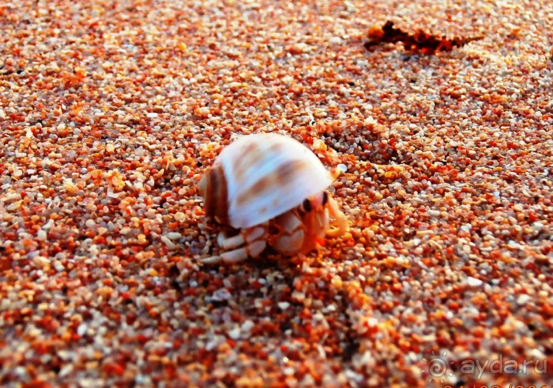 Удачный отдых.