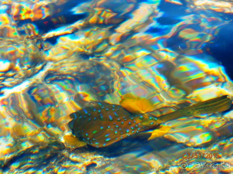 Удачный отдых.