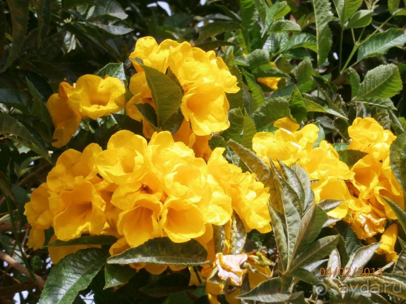 Удачный отдых.