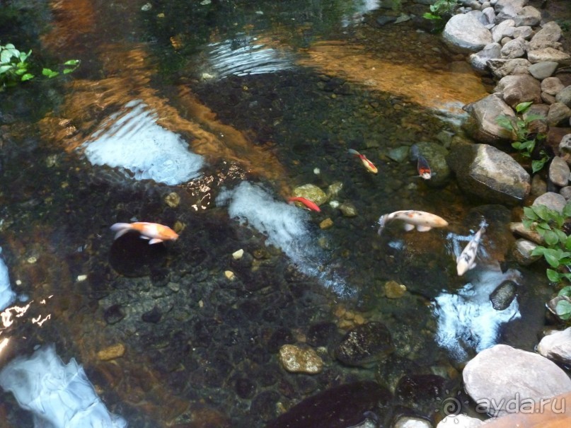 Положительные воспоминания!!!!