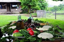 Отдых на море в Абхазии + сафари в горы! Этот отдых в Абхазии не забудем никогда!