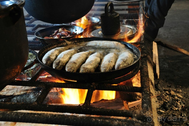 Отдых на море в Абхазии + сафари в горы! Этот отдых в Абхазии не забудем никогда!