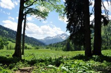 Отдых на море в Абхазии + сафари в горы! Этот отдых в Абхазии не забудем никогда!