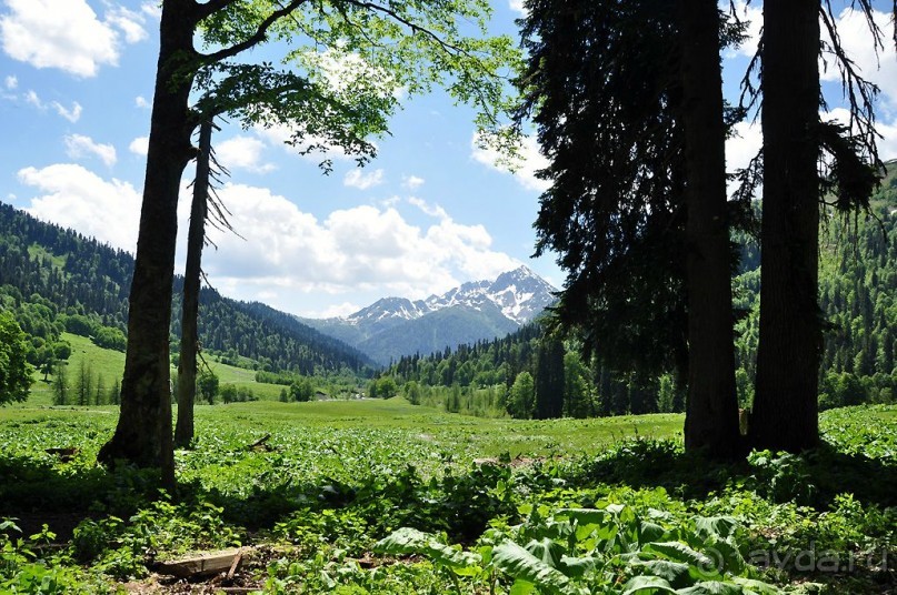 Отдых на море в Абхазии + сафари в горы! Этот отдых в Абхазии не забудем никогда!