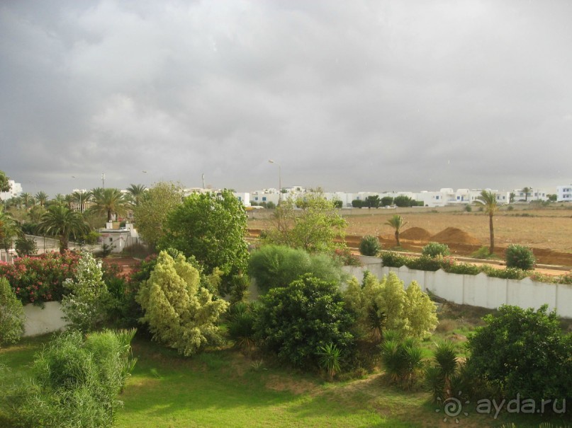 Вид из номера