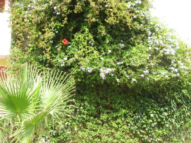 Красивый отель для спокойного отдыха