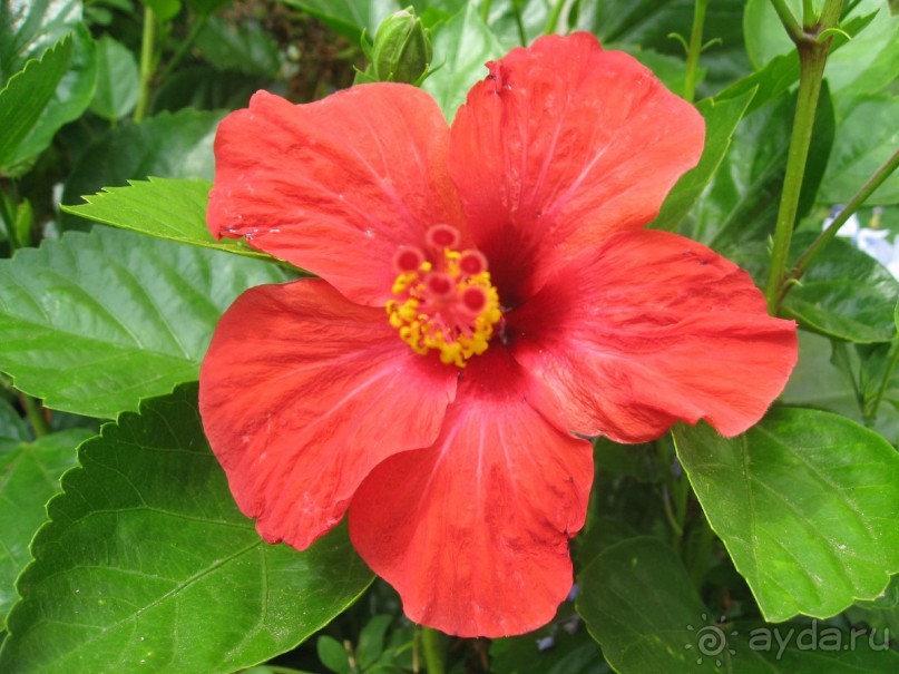 Красивый отель для спокойного отдыха