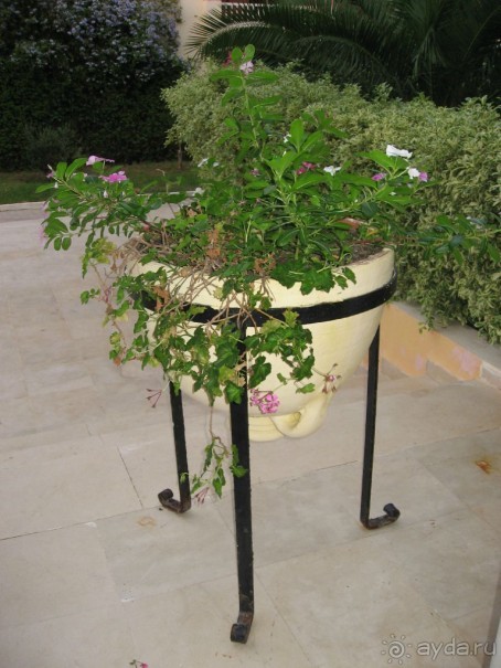 Красивый отель для спокойного отдыха