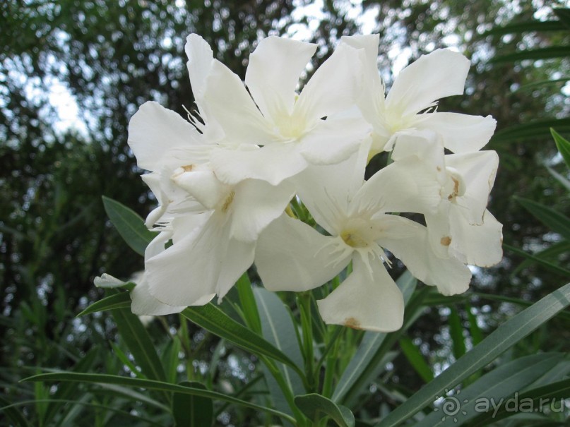 Красивый отель для спокойного отдыха