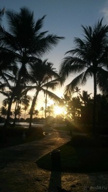 доминикана